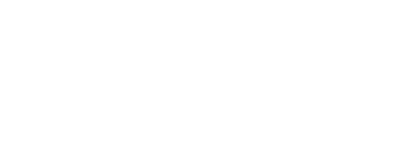 logo 02