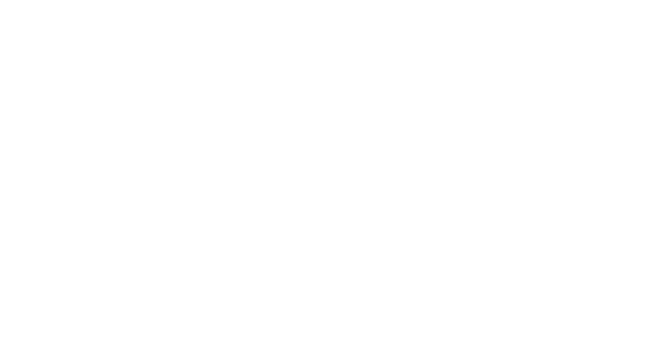 uae falconers club